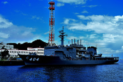 Z6S_9978