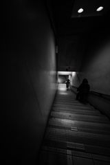 Z63_2078_3143