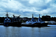 Z6S_0025