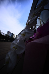 Z63_2694_3759