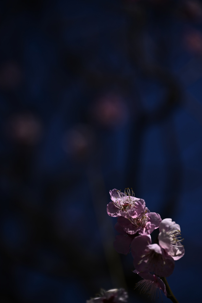 Z63_1698_2764