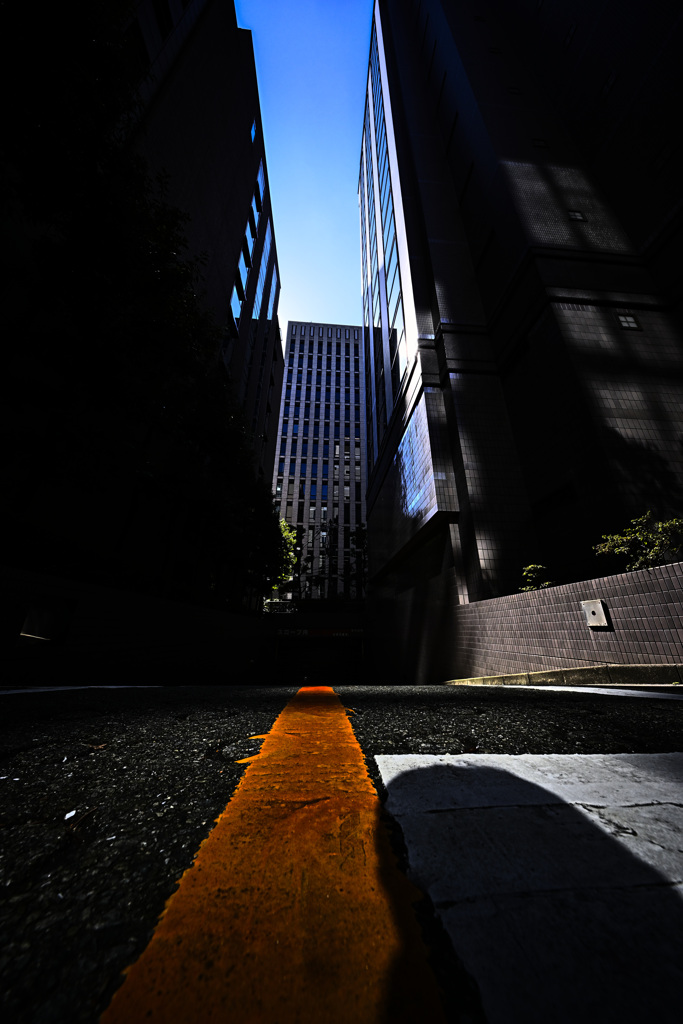 Z63_1977_3043