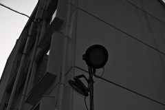 Z63_0589_1677