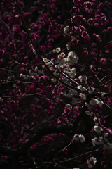 Z63_1766_2832