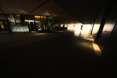 Z63_2745_3810