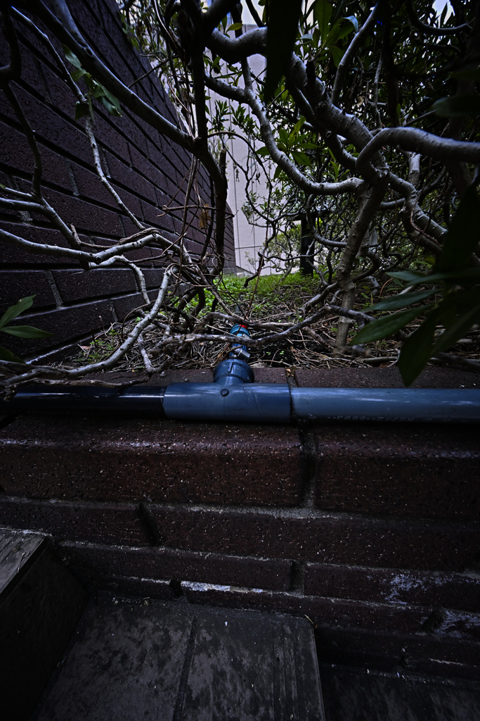 Z63_1895_2961