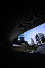 Z63_2666_3731