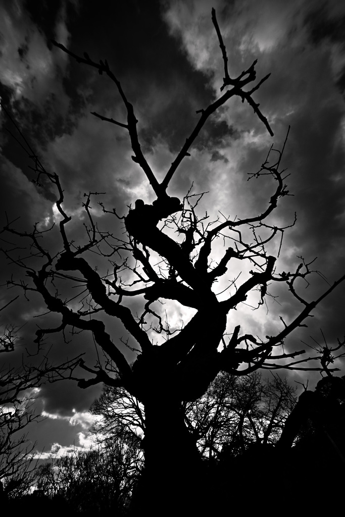 Z63_1419_2491