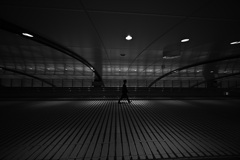 Z63_3764_4821
