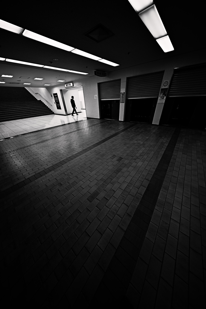 Z63_2090_3155