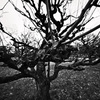 Z63_1442_2514