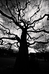Z63_1440_2512