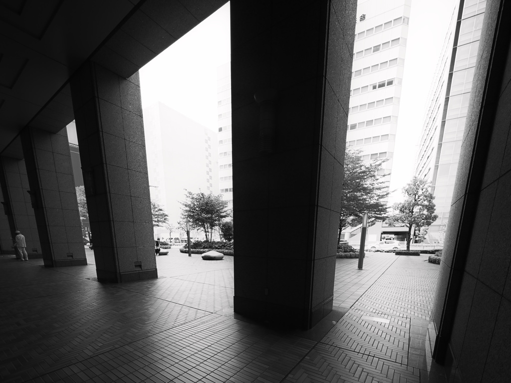 Z63_3705_4762