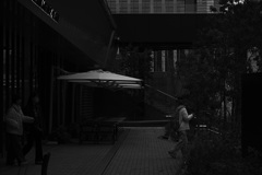 Z63_0619_1706