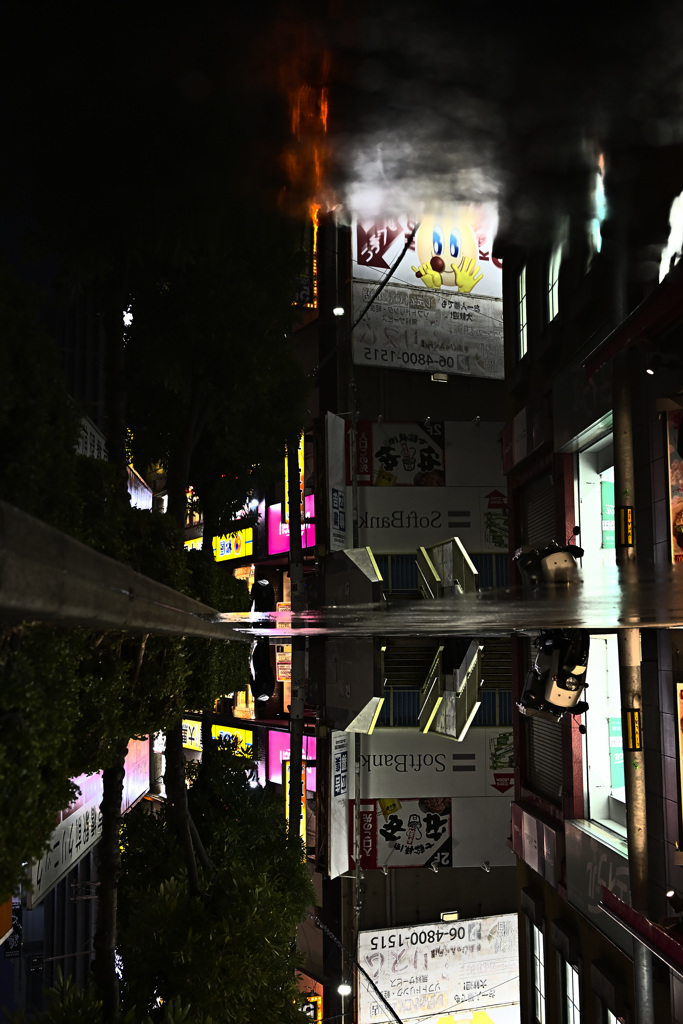Z63_2230_3295