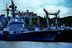 Z6S_0033