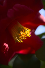 Z63_0766_1848