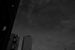 Z63_0702_1786