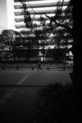 Z63_1955_3021