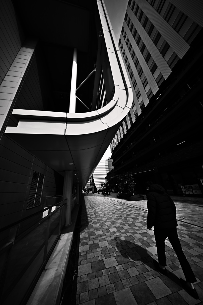 Z63_1319_2391