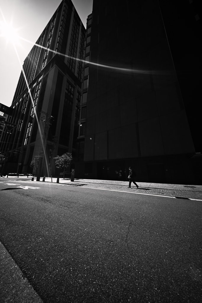 Z63_2031_3097