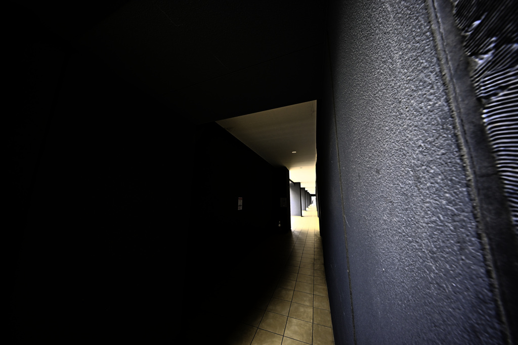 Z63_3543_4600