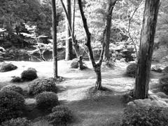西苔寺