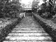 門