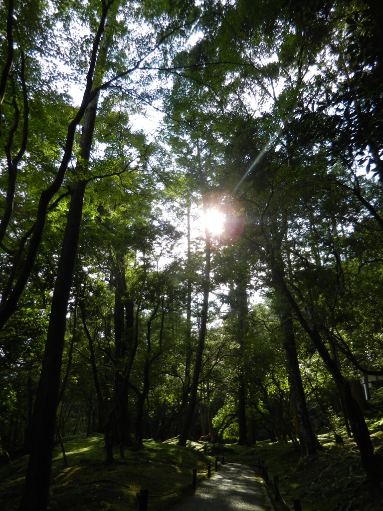 西苔寺