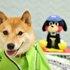 Go!Go!swallows!