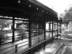 路