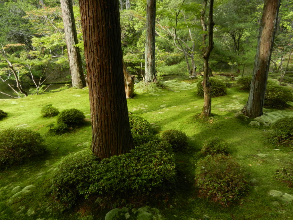 緑と緑と緑