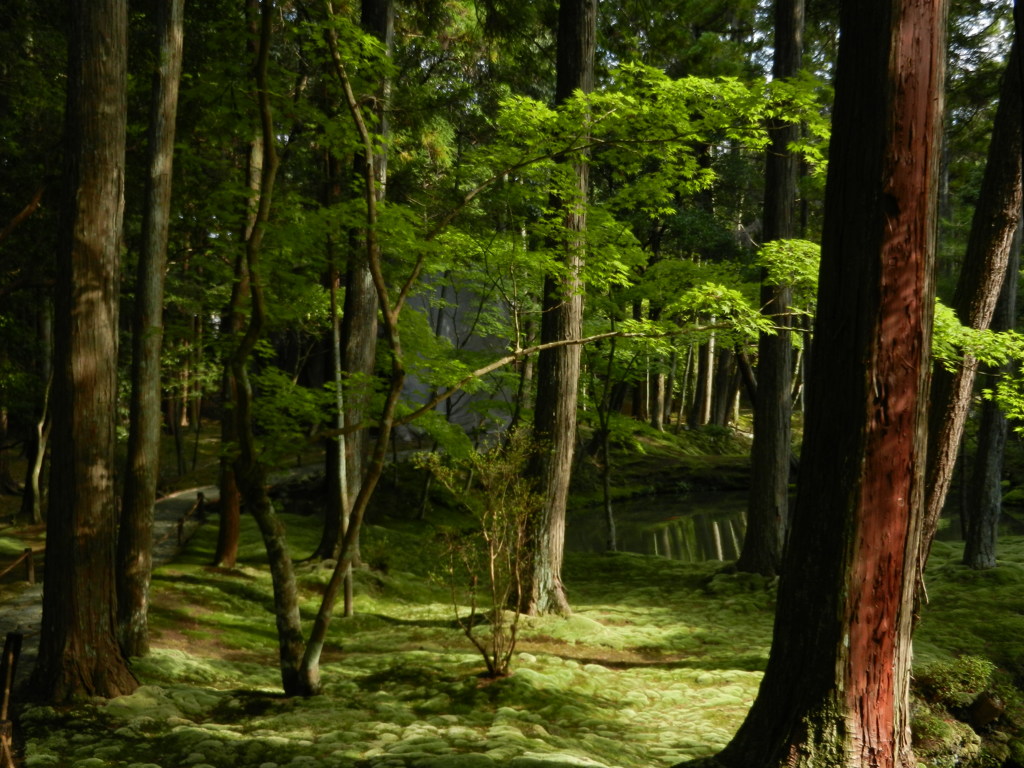 西苔寺