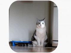 ごはん‥