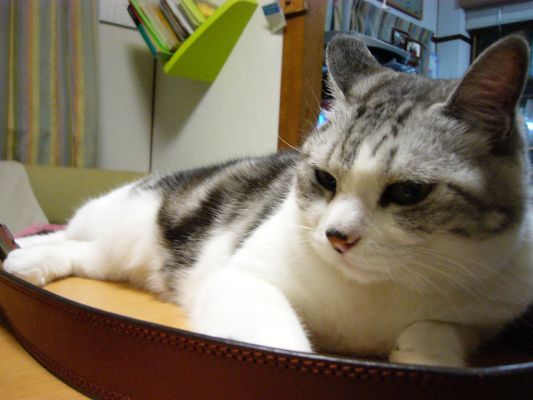 ひとやすみ