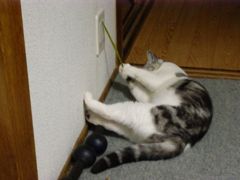オーエス！