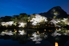 三船山楽園　夜桜