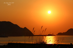 夕日