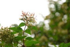 雨と雨のあいだ
