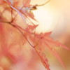 couleur
