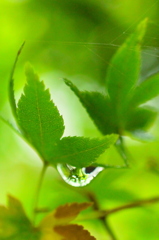 雨が止んだら