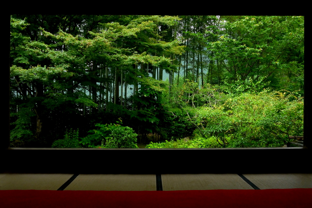 額縁の庭園　～宝泉院より