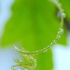 砂糖菓子P1210384