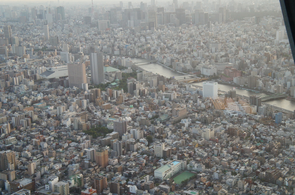 展望台から