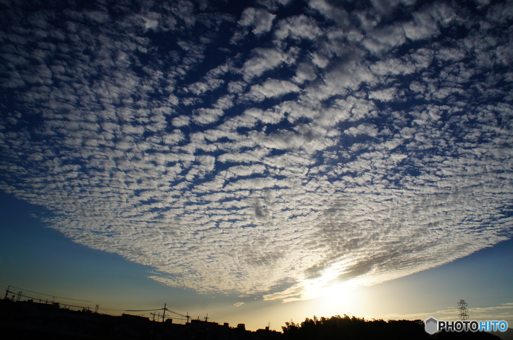 一面に広がるうろこ雲