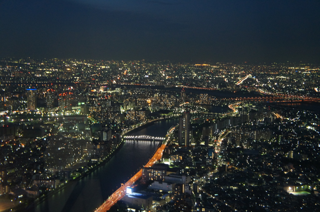夜の展望台