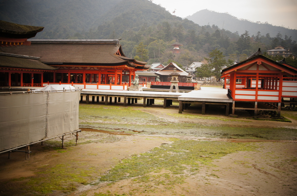神社の中