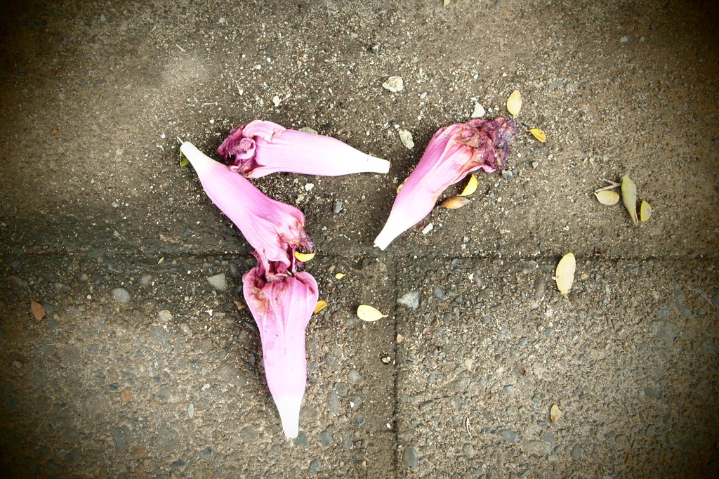 置いていって…