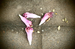 置いていって…