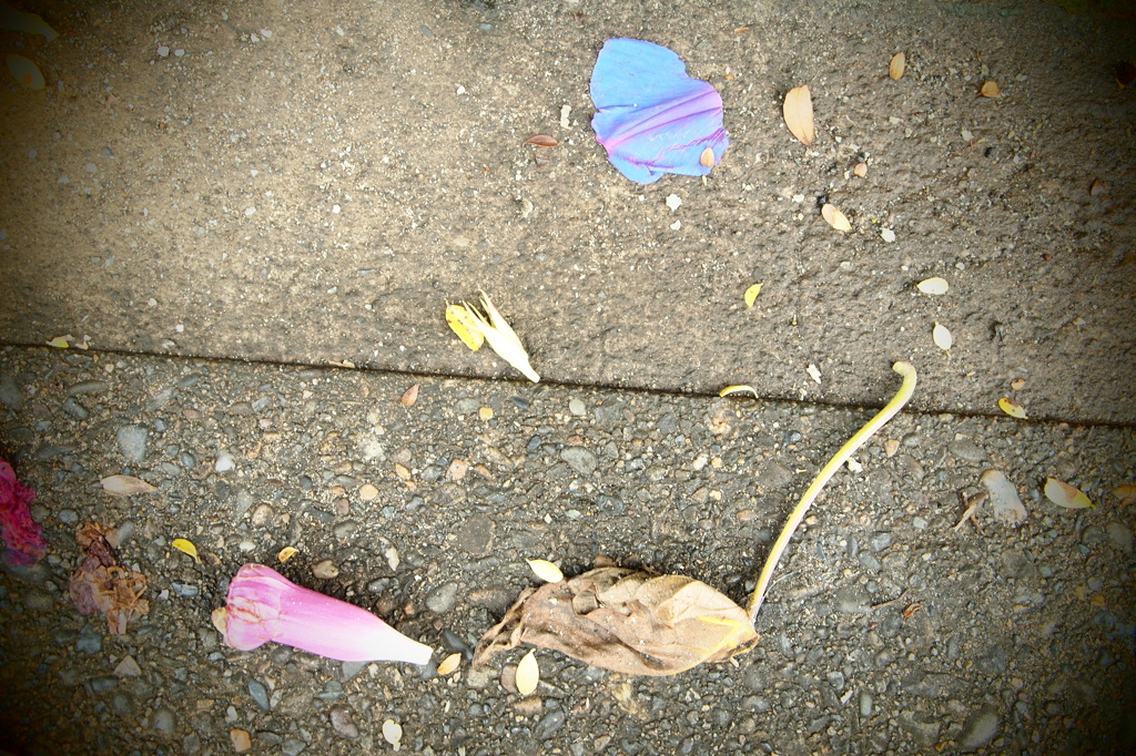 置かれていって…